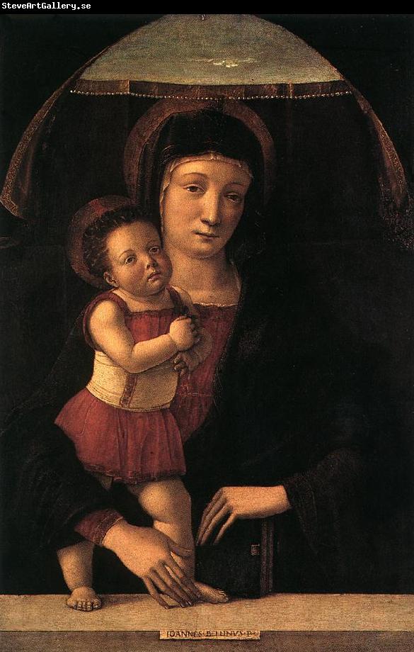 BELLINI, Giovanni Madonna with Child lll